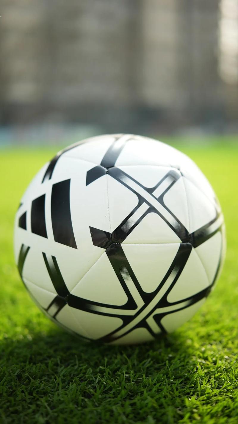 彩客网竞彩足球完整版即时比分二维码